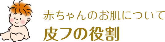 赤ちゃんのお肌について 皮フの役割