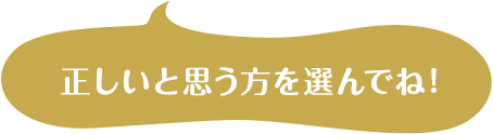 正しいと思う方を選んでね！