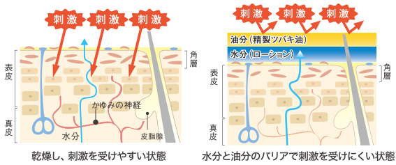 乾燥し、刺激を受けやすい状態、水分と油分のバリアで刺激を受けにくい状態